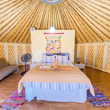 Altos De Quitor, Glamping Hotel San Pedro de Atacama Buitenkant foto